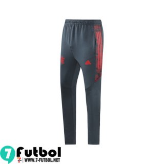 Pantalones Largos Futbol Flamengo Gris Hombre 2021 2022 P70