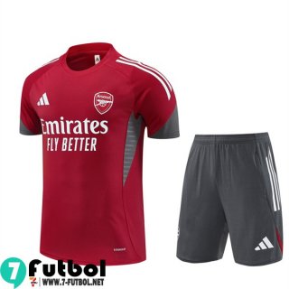 KIT: Arsenal T Shirt Hombre 25 26 H736