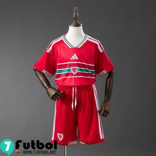 Camiseta Futbol Gales Primera Nino 2026 Camiseta Futbol Gales Primera Nino 2026