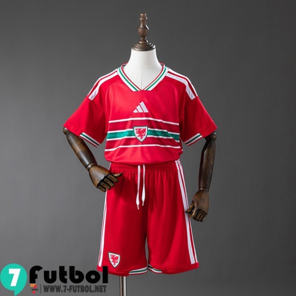 Camiseta Futbol Gales Primera Nino 2026 Camiseta Futbol Gales Primera Nino 2026