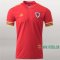7-Futbol: Primera Camisetas De Futbol Gales Hombre Personalizadas Eurocopa 2020/2021