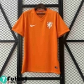 Retro Camiseta Futbol The Tangerines Primera Hombre 2014 FG692