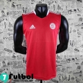T-Shirt Bayern Munich Rojo Hombre 2022 2023 PL324