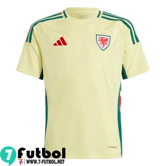 Gales Camiseta Futbol Segunda Hombre 2024