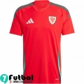 Gales Camiseta Futbol Primera Hombre 2024