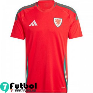 Gales Camiseta Futbol Primera Hombre 2024