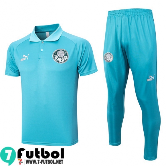 KIT: Polo Futbol Palmeiras cielo azul Hombre 2023 2024 PL673