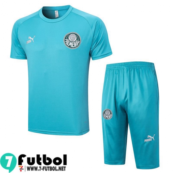 KIT: Polo Futbol Palmeiras cielo azul Hombre 2023 2024 PL684