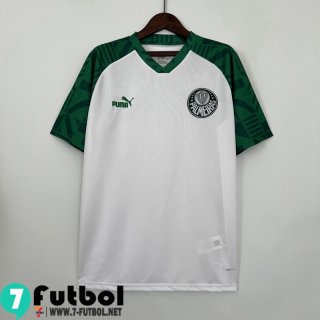 Camiseta Futbol Palmeiras Edición especial Hombre 2023 2024 TBB38