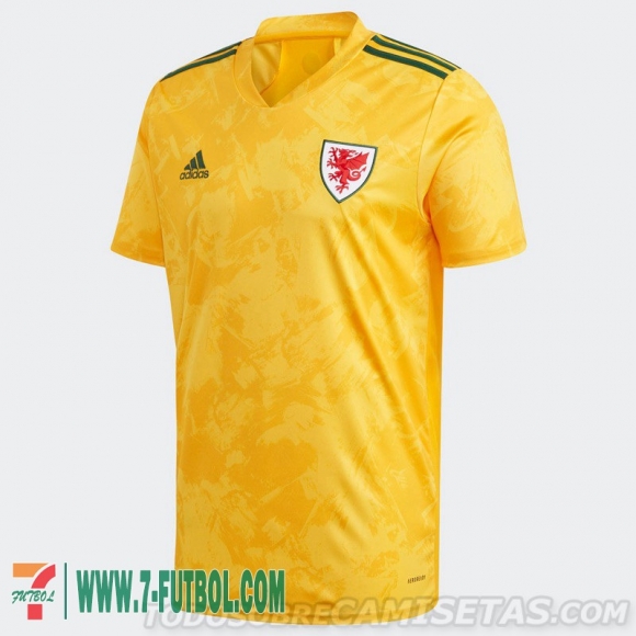 Camiseta Del Gales Segunda Hombre EURO 2021