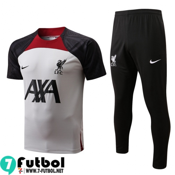 KIT: T-Shirt Liverpool Gris Hombre 2022 2023 PL537