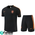 KIT: T Shirt The Tangerines Hombre 26 27 H963 KIT: T Shirt The Tangerines Hombre 26 27 H963