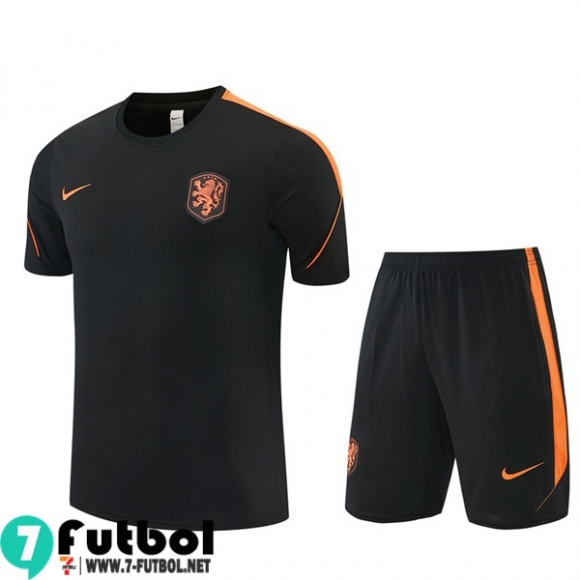 KIT: T Shirt The Tangerines Hombre 26 27 H963 KIT: T Shirt The Tangerines Hombre 26 27 H963