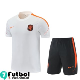 KIT: T Shirt The Tangerines Hombre 26 27 H980 KIT: T Shirt The Tangerines Hombre 26 27 H980