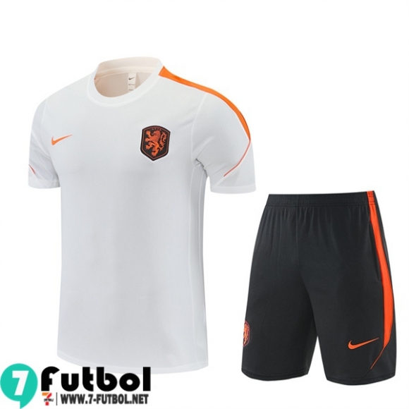 KIT: T Shirt The Tangerines Hombre 26 27 H980 KIT: T Shirt The Tangerines Hombre 26 27 H980