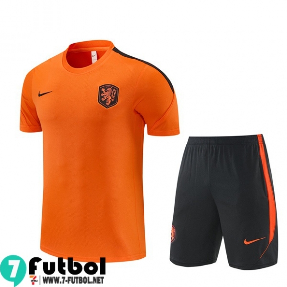 KIT: T Shirt The Tangerines Hombre 26 27 H981 KIT: T Shirt The Tangerines Hombre 26 27 H981