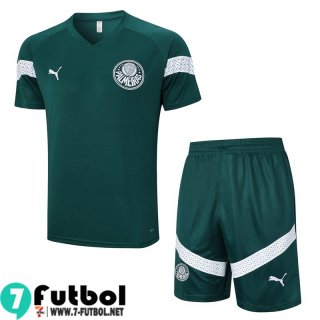 KIT : Chandal Futbol T Shirt Palmeiras Verde Hombre 23 24 TG873