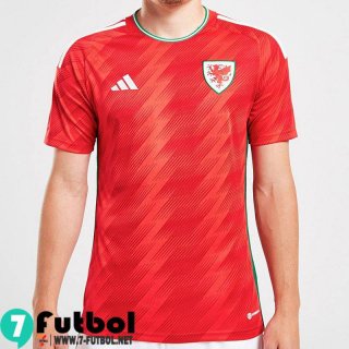 Camiseta Futbol Gales Primera Hombre Copa Del Mundo 2022